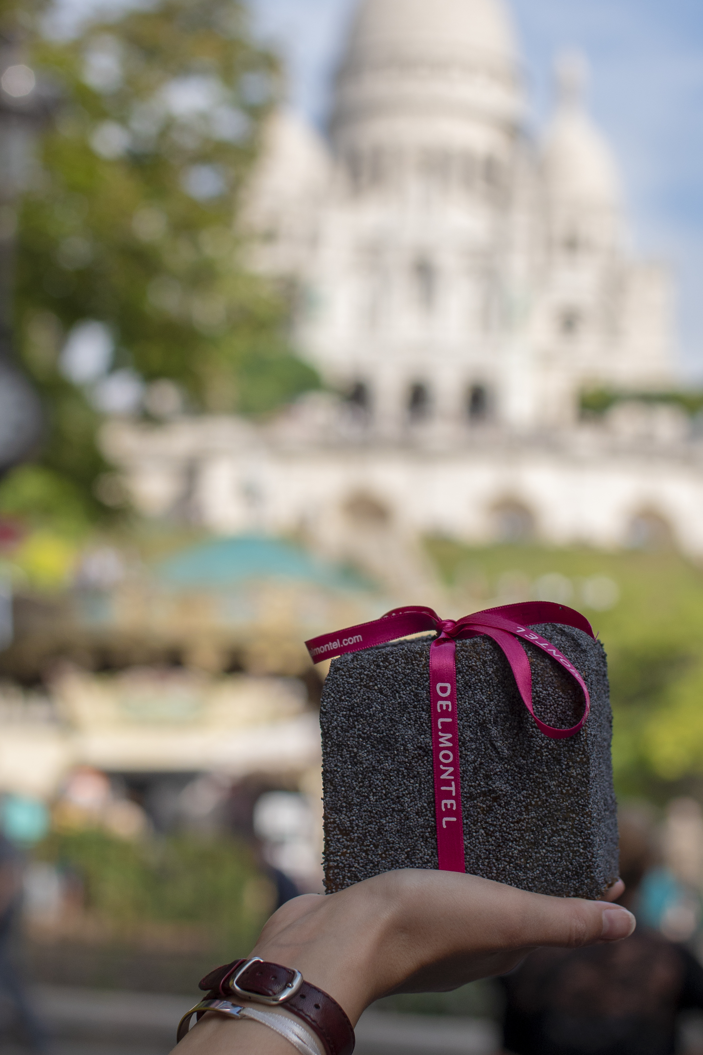 pave parisien_au pied de montmartre rue des martyrs_delmontel