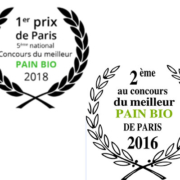 pain-bio_2016-18