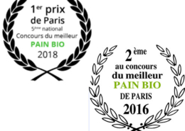 pain-bio_2016-18
